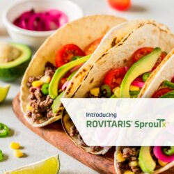 پلانٹ کی بنیاد پر گوشت tacos